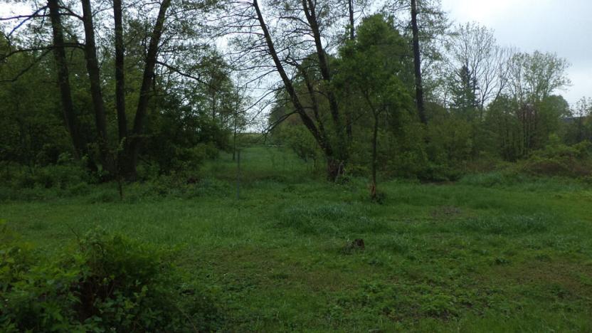 Prodej pozemku, Vlčice, 1387 m2