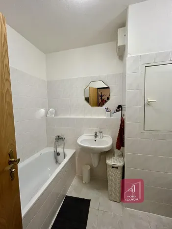 Pronájem bytu 1+1, Brno, Majdalenky, 137 m2