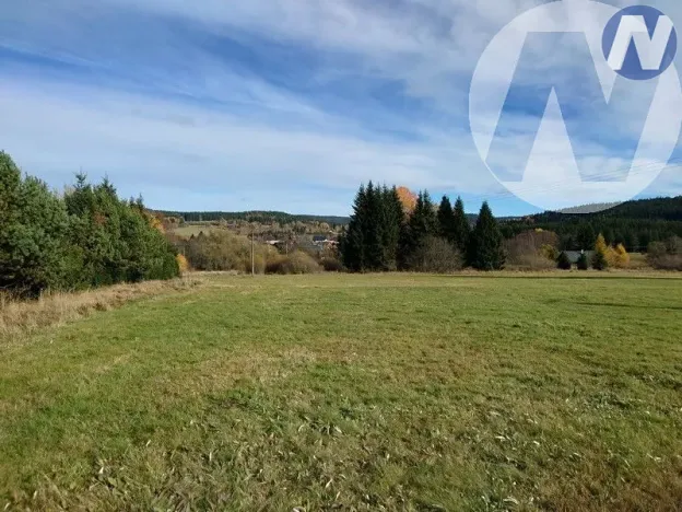 Prodej pozemku, Borová Lada, 7953 m2