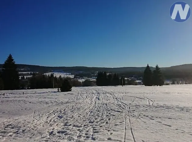 Prodej pozemku, Borová Lada, 7953 m2