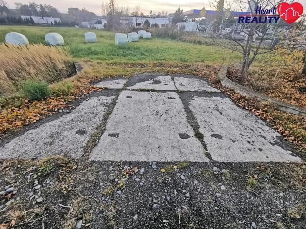 Prodej komerčního pozemku, Neplachovice, Na Nivě, 7386 m2