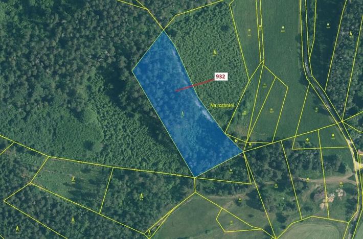 Dražba lesa, Rabí, 7006 m2