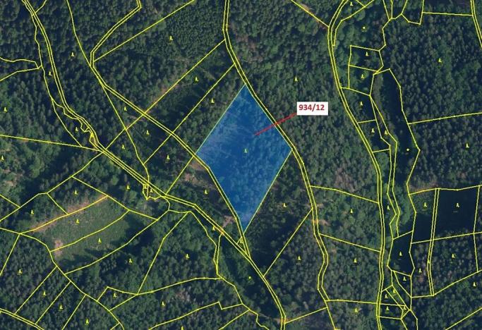 Dražba lesa, Jílové u Držkova, 10166 m2