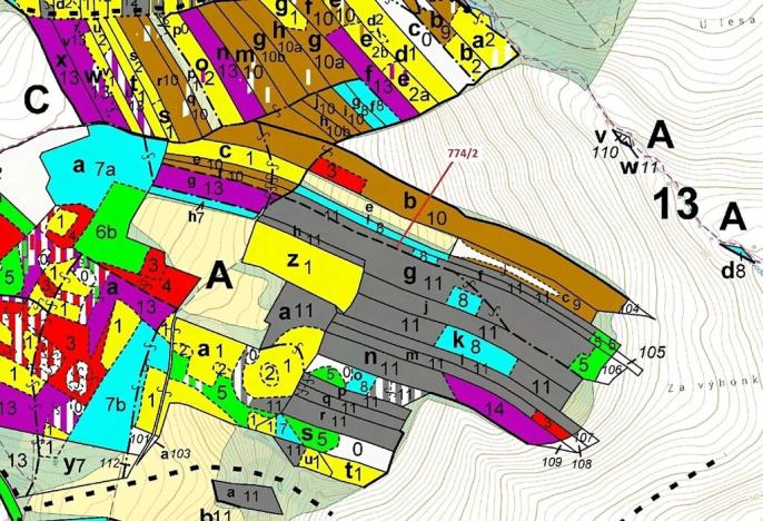 Dražba lesa, Přemyslovice, 7901 m2