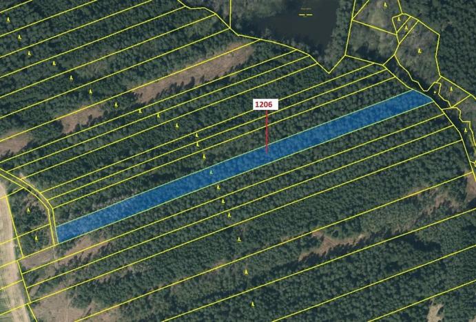 Dražba lesa, Chrbonín, 10189 m2