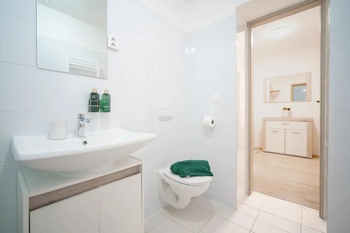 Prodej bytu 1+kk, Jeseník, Na Mýtince, 36 m2