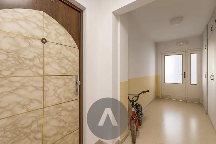 Prodej bytu 2+1, Brno, Luční, 57 m2