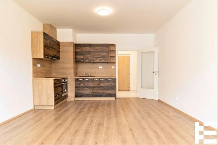 Pronájem bytu 1+kk, Plzeň, K Zelené louce, 31 m2