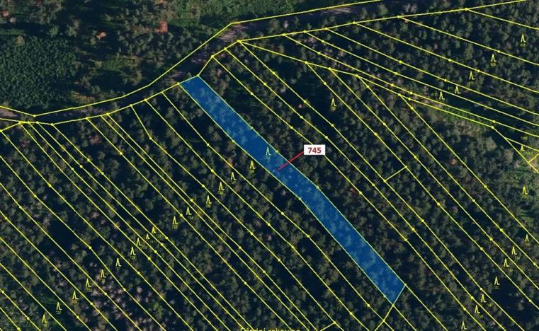 Dražba lesa, Dolní Vilémovice, 1957 m2