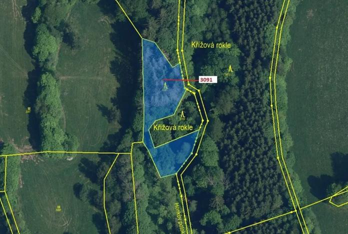 Dražba lesa, Benešov u Semil, 1964 m2