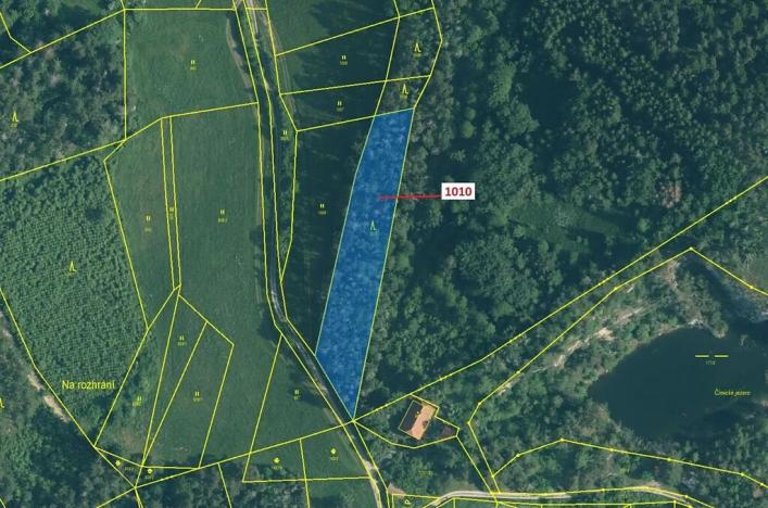 Dražba lesa, Rabí, 3054 m2