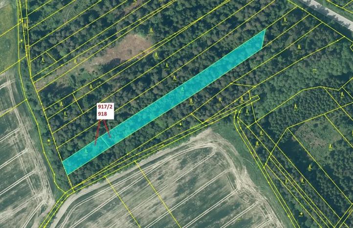 Dražba lesa, Netřebice, 3965 m2