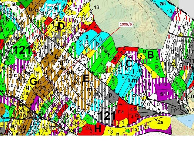 Dražba lesa, Veverské Knínice, 3926 m2