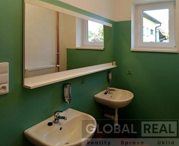 Pronájem ubytování, Pavlínov, 300 m2