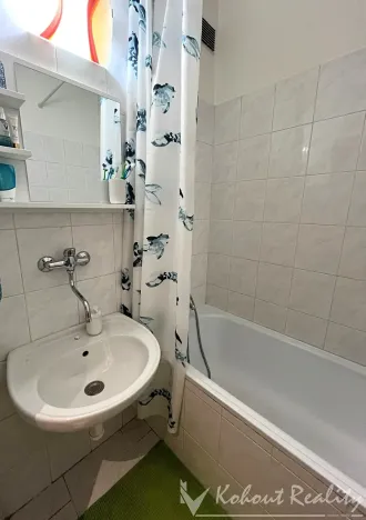 Pronájem bytu 1+1, Praha - Vršovice, U Slavie, 36 m2