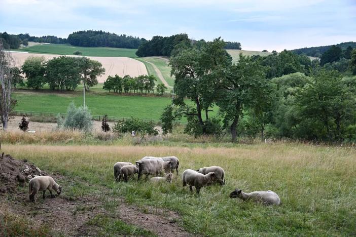 Prodej komerčního pozemku, Heřmaničky, 19000 m2