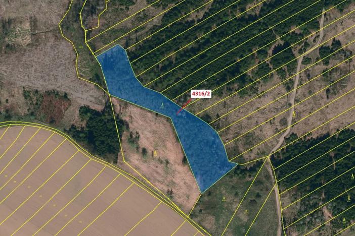 Dražba lesa, Opatov, 7085 m2