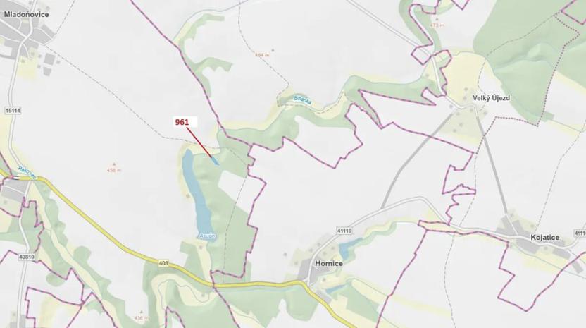 Dražba lesa, Mladoňovice, 961 m2