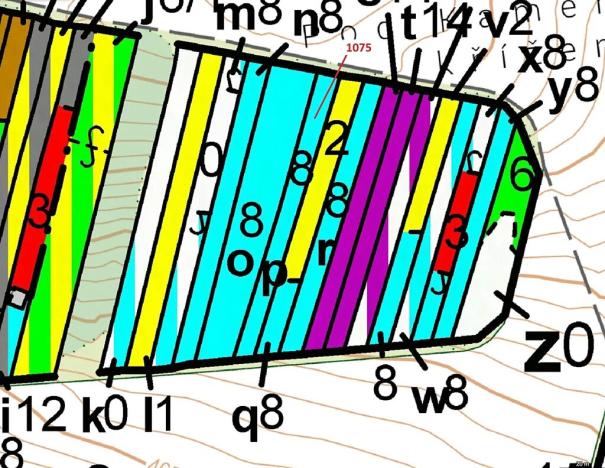 Dražba lesa, Dolní Vilémovice, 1134 m2