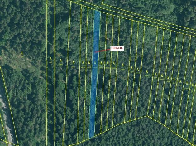 Dražba lesa, Stehlovice, 1983 m2