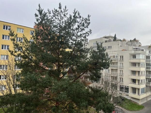 Pronájem bytu 3+1, Praha - Záběhlice, Jabloňová, 76 m2