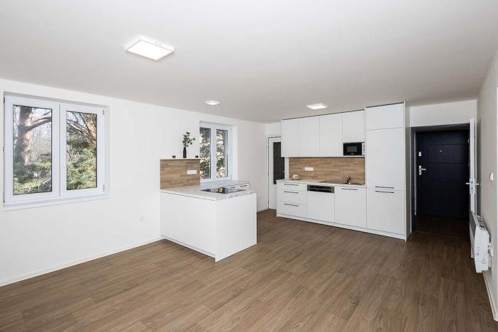 Pronájem bytu 2+kk, Opava - Předměstí, U Hliníku, 46 m2