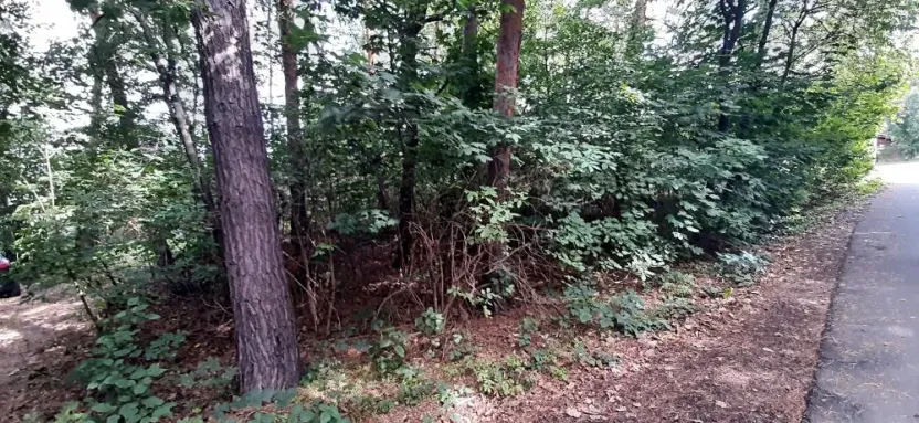 Prodej lesa, Mostkovice, 576 m2
