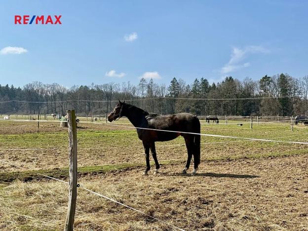 Prodej pozemku, Spálené Poříčí, 166477 m2