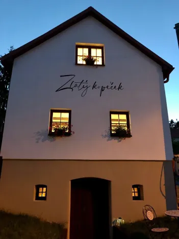 Prodej vinného sklepa, Čejkovice, 66 m2