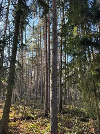 Prodej pozemku, Slabčice, 9236 m2