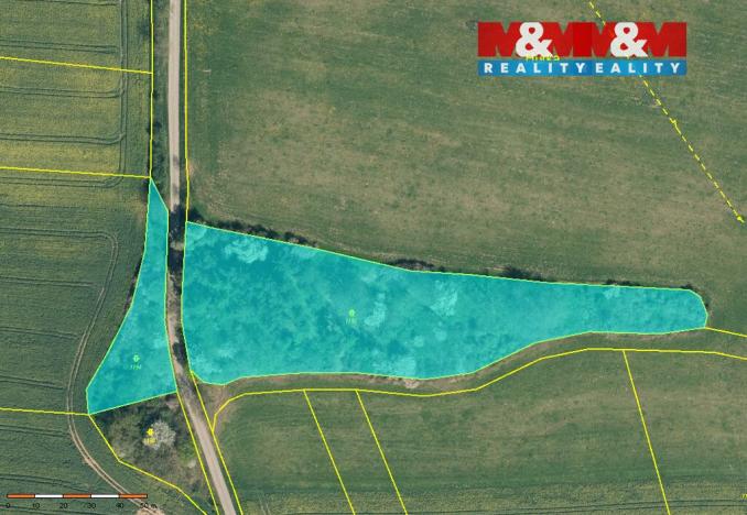 Prodej lesa, Načeradec - Pravětice, 19561 m2