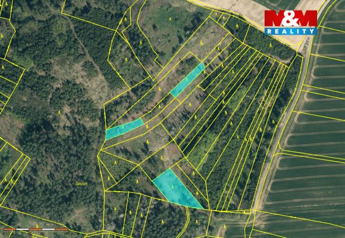 Prodej lesa, Načeradec - Pravětice, 19561 m2