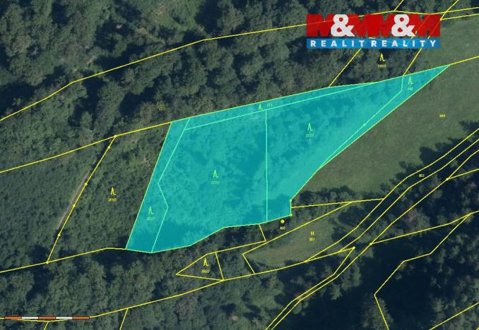 Prodej lesa, Olšany, 8828 m2