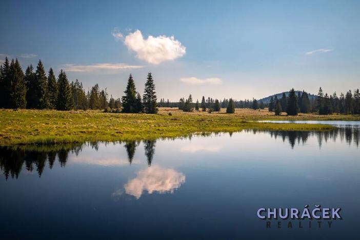 Prodej bytu 2+kk, Abertamy, Plešivecká, 67 m2