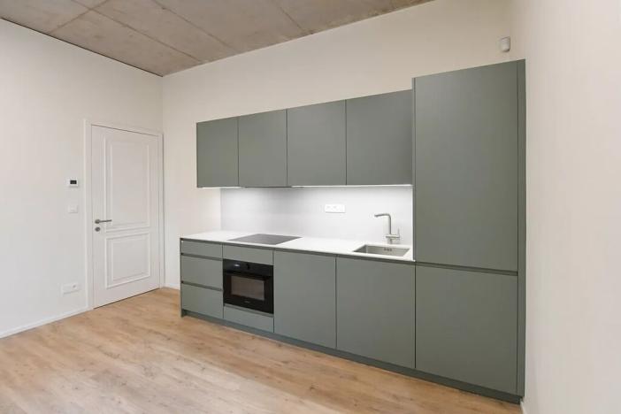 Pronájem bytu 3+kk, Praha - Nusle, Boleslavova, 58 m2