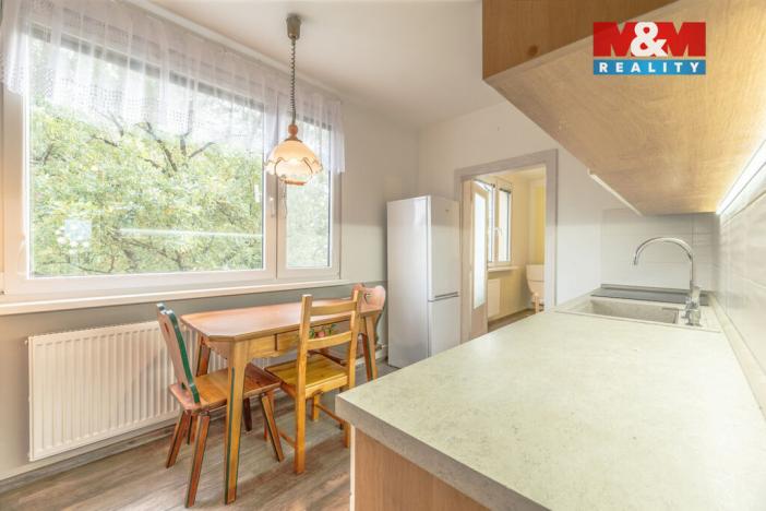 Pronájem bytu 4+1, Liberec - Liberec I-Staré Město, Březová alej, 80 m2