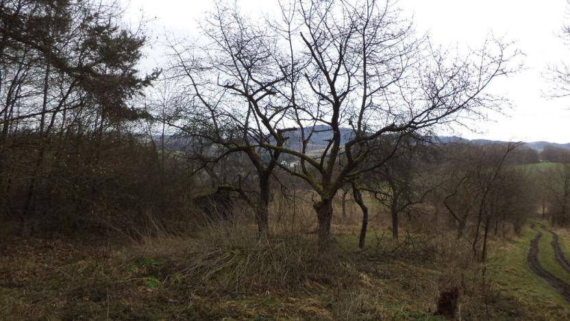 Prodej pozemku, Srby, 1445 m2