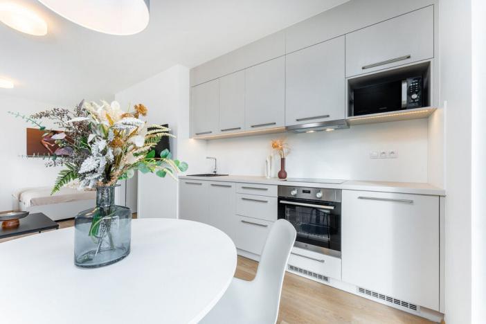 Pronájem bytu 1+kk, Plzeň - Skvrňany, Františka Kováříka, 39 m2