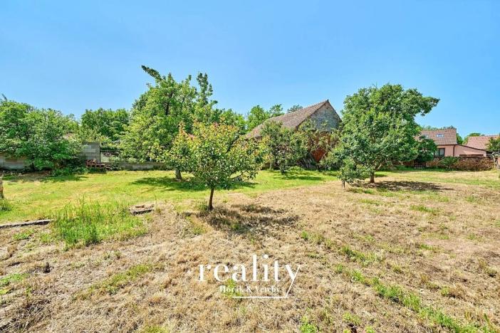 Prodej zemědělské usedlosti, Borotice, 226 m2