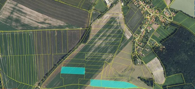 Prodej pole, Horky, 59562 m2