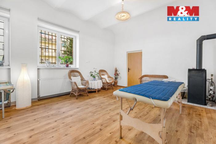 Prodej obchodního prostoru, Ústí nad Labem - Ústí nad Labem-centrum, Masarykova, 48 m2