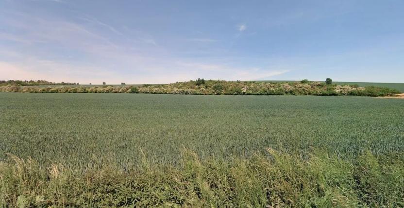 Prodej pole, Horky nad Jizerou, 4398 m2