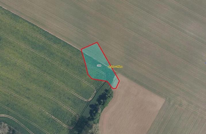 Prodej pole, Stránka, 2020 m2