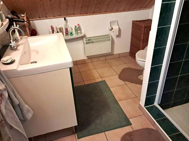 Prodej chalupy, Vysoké Veselí, 290 m2