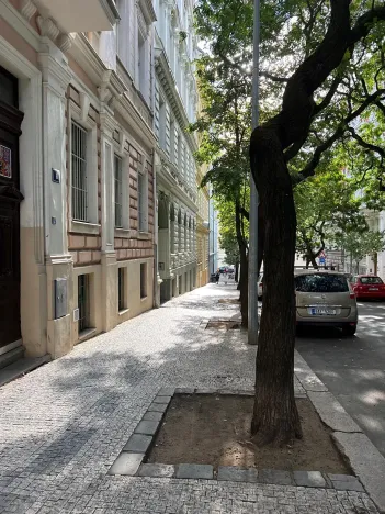 Pronájem bytu 1+kk, Praha - Vinohrady, Uruguayská, 38 m2