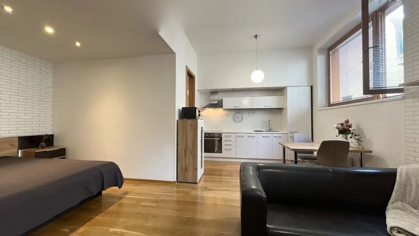 Pronájem bytu 1+kk, Praha - Vinohrady, Uruguayská, 38 m2