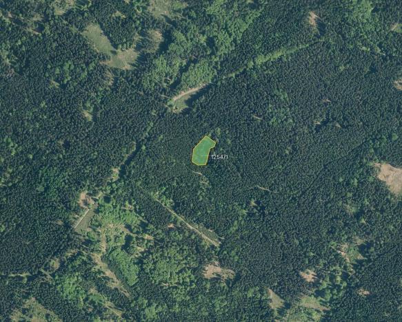 Prodej podílu louky, Halže, 113420 m2