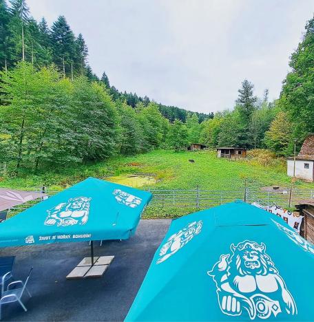 Prodej zemědělského objektu, Valašské Klobouky, Brumovská, 467 m2