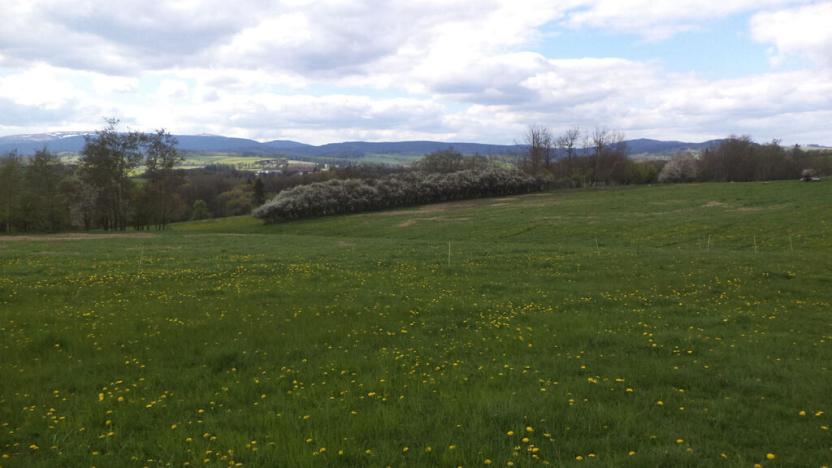 Prodej pozemku, Staré Město - Nová Véska, 10063 m2