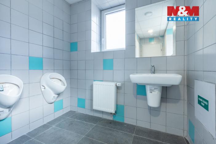 Pronájem kanceláře, Louny, Březinova, 166 m2